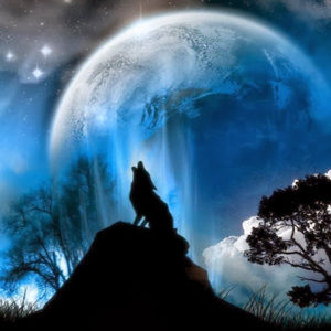 Meet your Posher, Sabrina